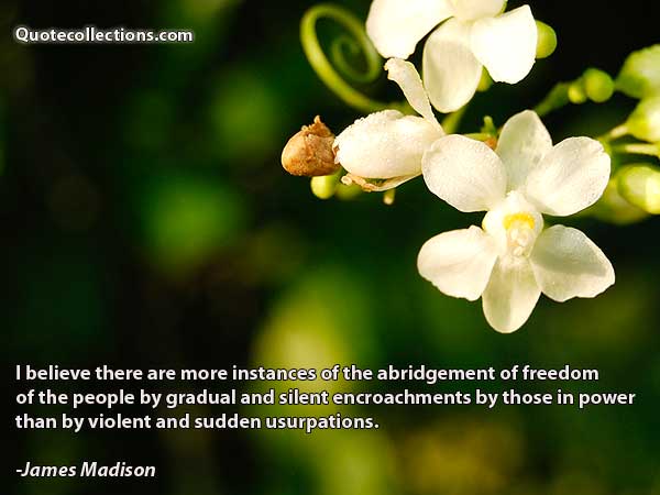 James Madison Quotes2
